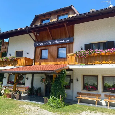 Hotel Friedemann-2